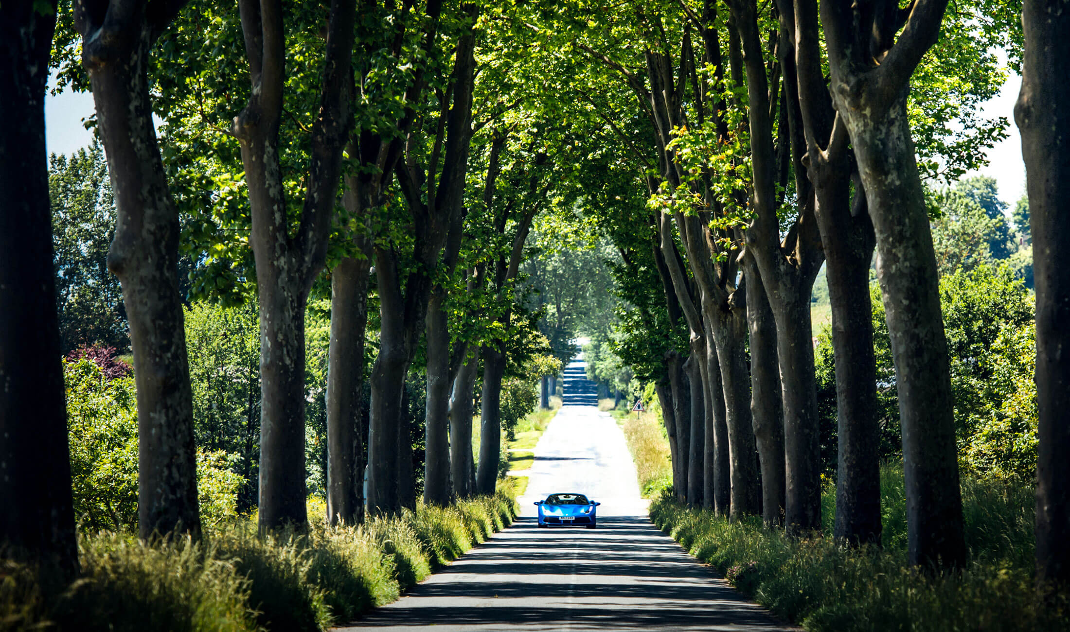 Blue Ferrari driving along avenue of trees in rural France